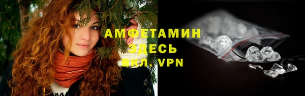 гашик Арсеньев