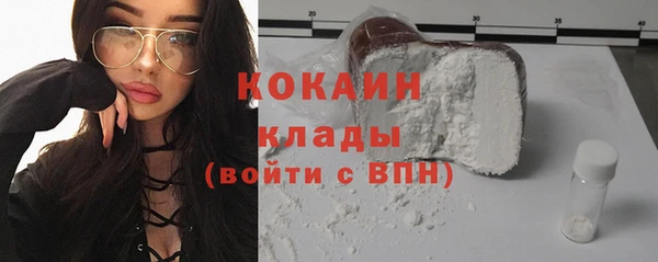 гашик Арсеньев