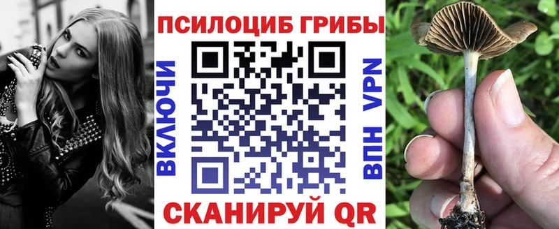 Галлюциногенные грибы GOLDEN TEACHER  Полярные Зори 